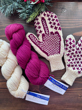 Load image into Gallery viewer, Malabrigo Rios Angry Mittens KNITTING YARN KIT worsted weight 3 ivory santa rita