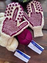 Load image into Gallery viewer, Malabrigo Rios Angry Mittens KNITTING YARN KIT worsted weight 3 ivory santa rita