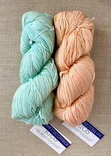 Load image into Gallery viewer, Malabrigo Rios Find Your Way Cowl KNITTING KIT worsted weight 3 mosaic knitting cucumber melon