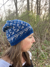 Load image into Gallery viewer, The Feeding Frenzy Beanie Knitting PATTERN color work sharks waves