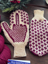 Load image into Gallery viewer, Malabrigo Rios Angry Mittens KNITTING YARN KIT worsted weight 3 ivory santa rita
