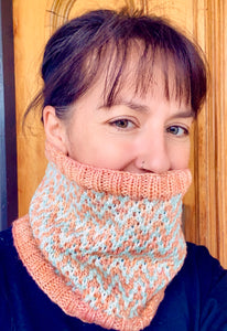 Malabrigo Rios Find Your Way Cowl KNITTING KIT worsted weight 3 mosaic knitting cucumber melon